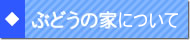 ぶどうの家について